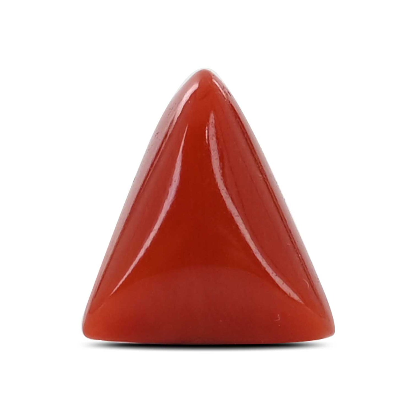Red Coral (Moonga) - 6.93 Carat