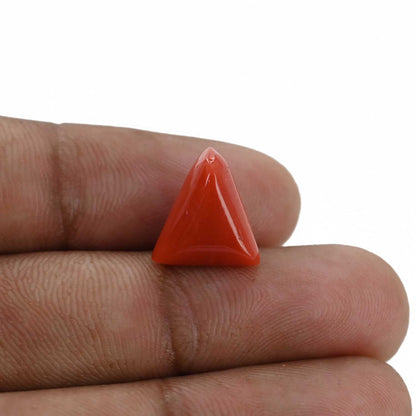 Red Coral (Moonga) - 6.93 Carat