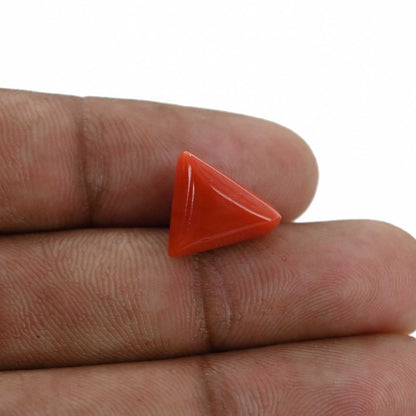 Red Coral (Moonga) - 6.93 Carat