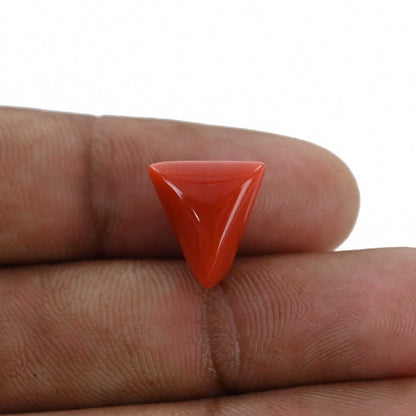 Red Coral (Moonga) - 6.93 Carat