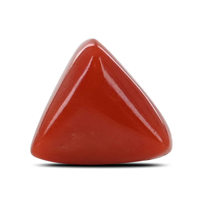 Red Coral (Moonga) - 7.03 Carat