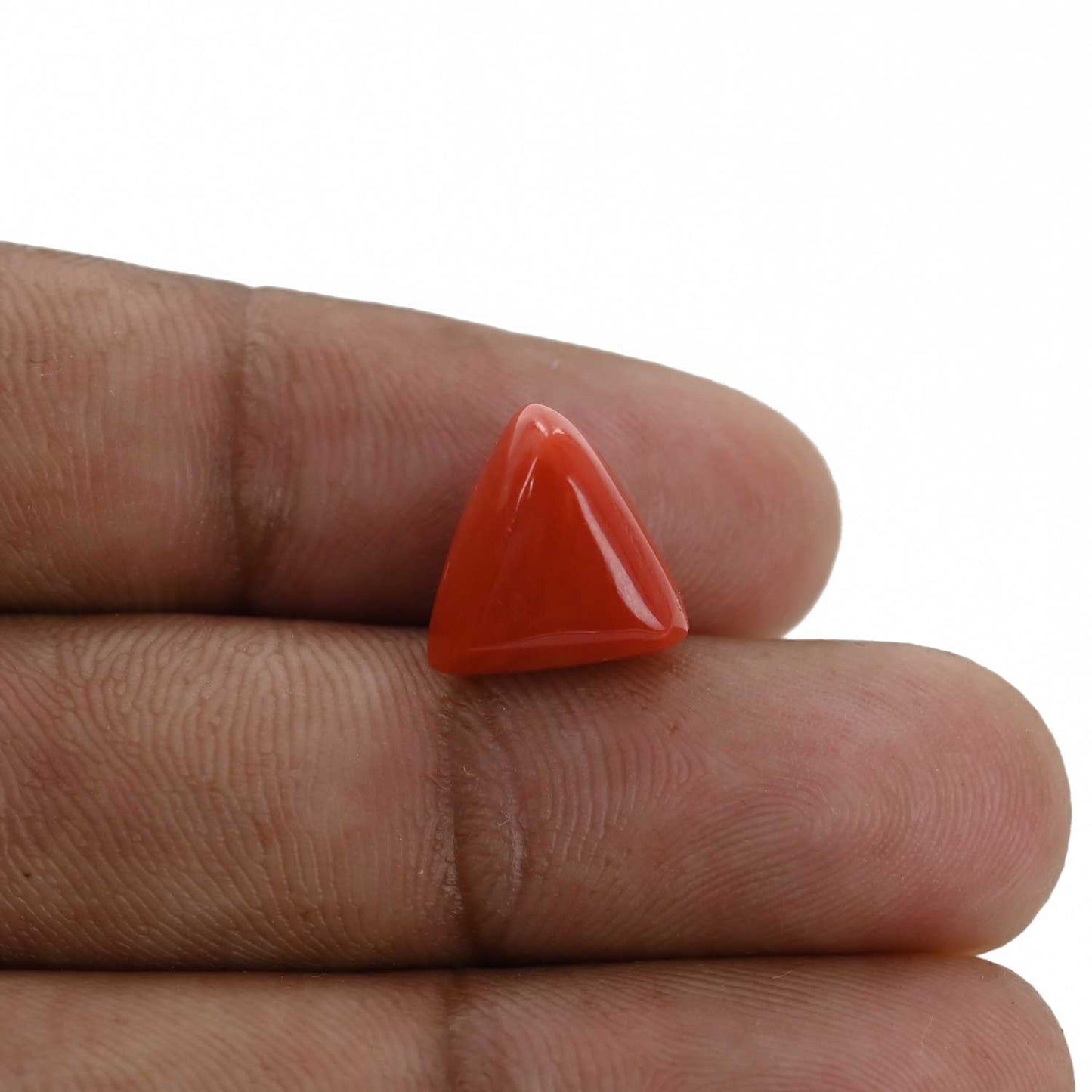 Red Coral (Moonga) - 7.03 Carat