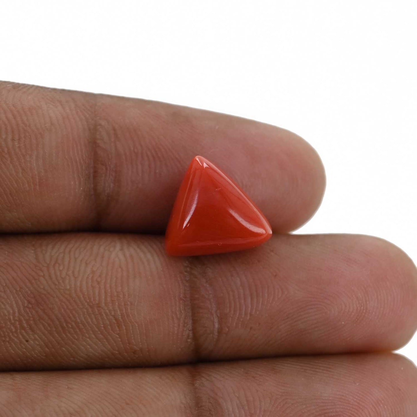 Red Coral (Moonga) - 7.03 Carat