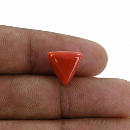 Red Coral (Moonga) - 7.03 Carat
