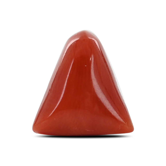 Red Coral (Moonga) - 6.83 Carat