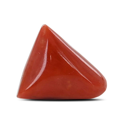 Red Coral (Moonga) - 6.83 Carat