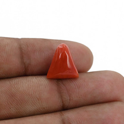 Red Coral (Moonga) - 6.83 Carat
