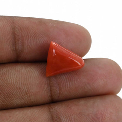Red Coral (Moonga) - 6.83 Carat