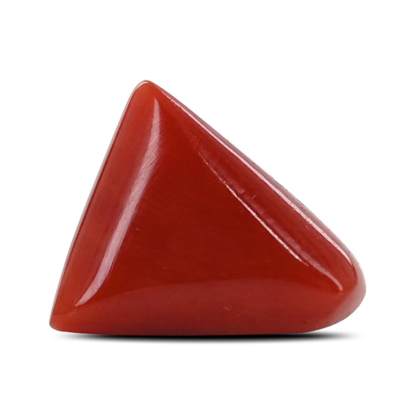 Red Coral (Moonga) - 6.52 Carat