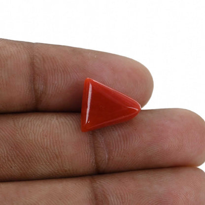 Red Coral (Moonga) - 6.52 Carat