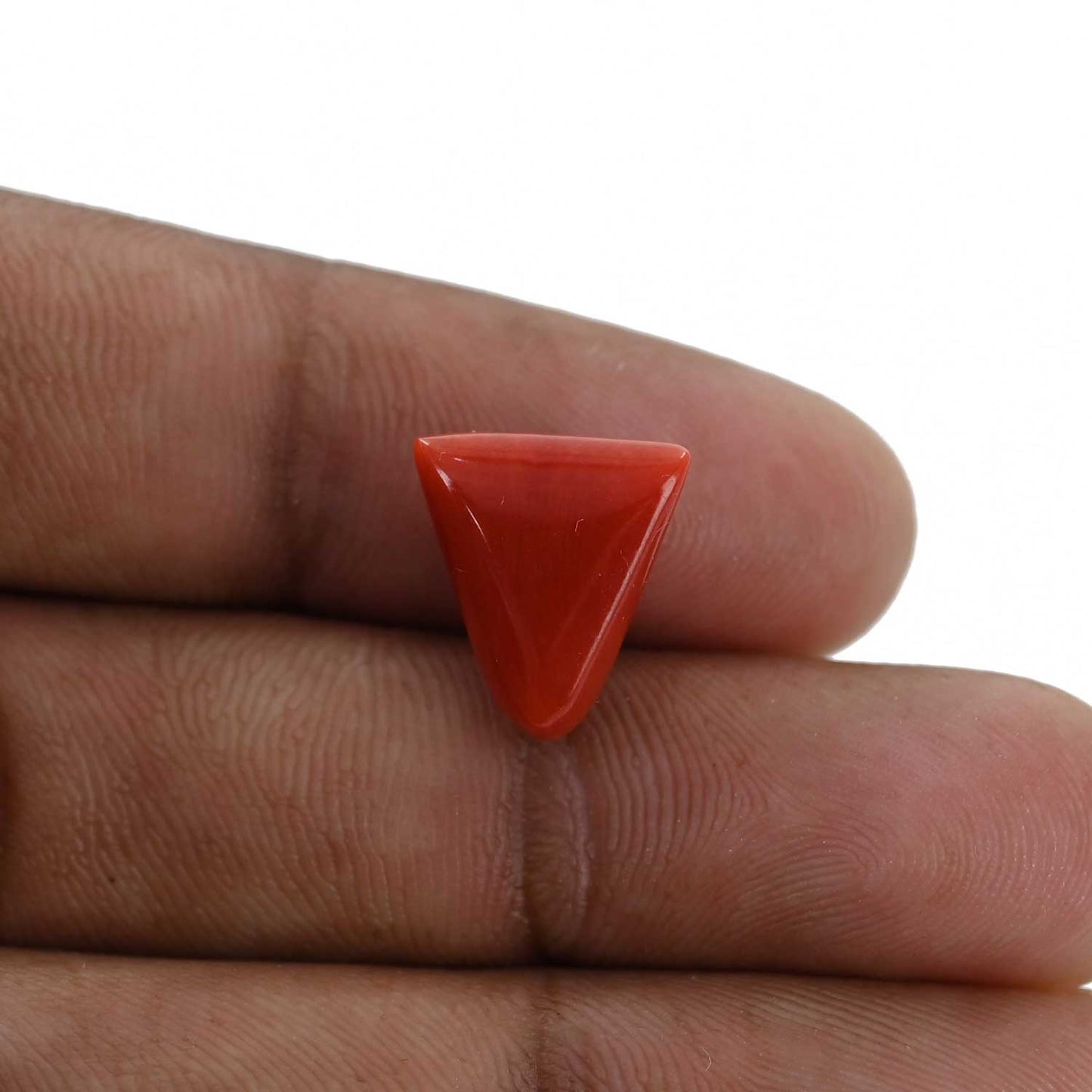 Red Coral (Moonga) - 6.52 Carat