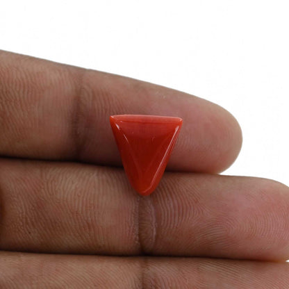 Red Coral (Moonga) - 6.52 Carat