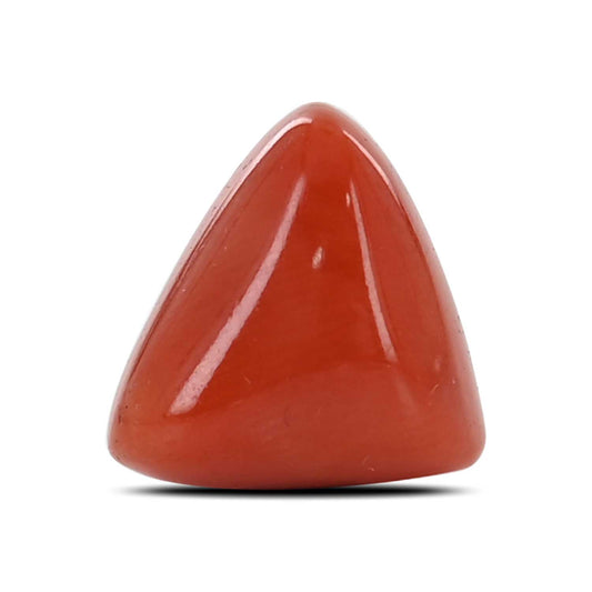 Red Coral (Moonga) - 8.41 Carat