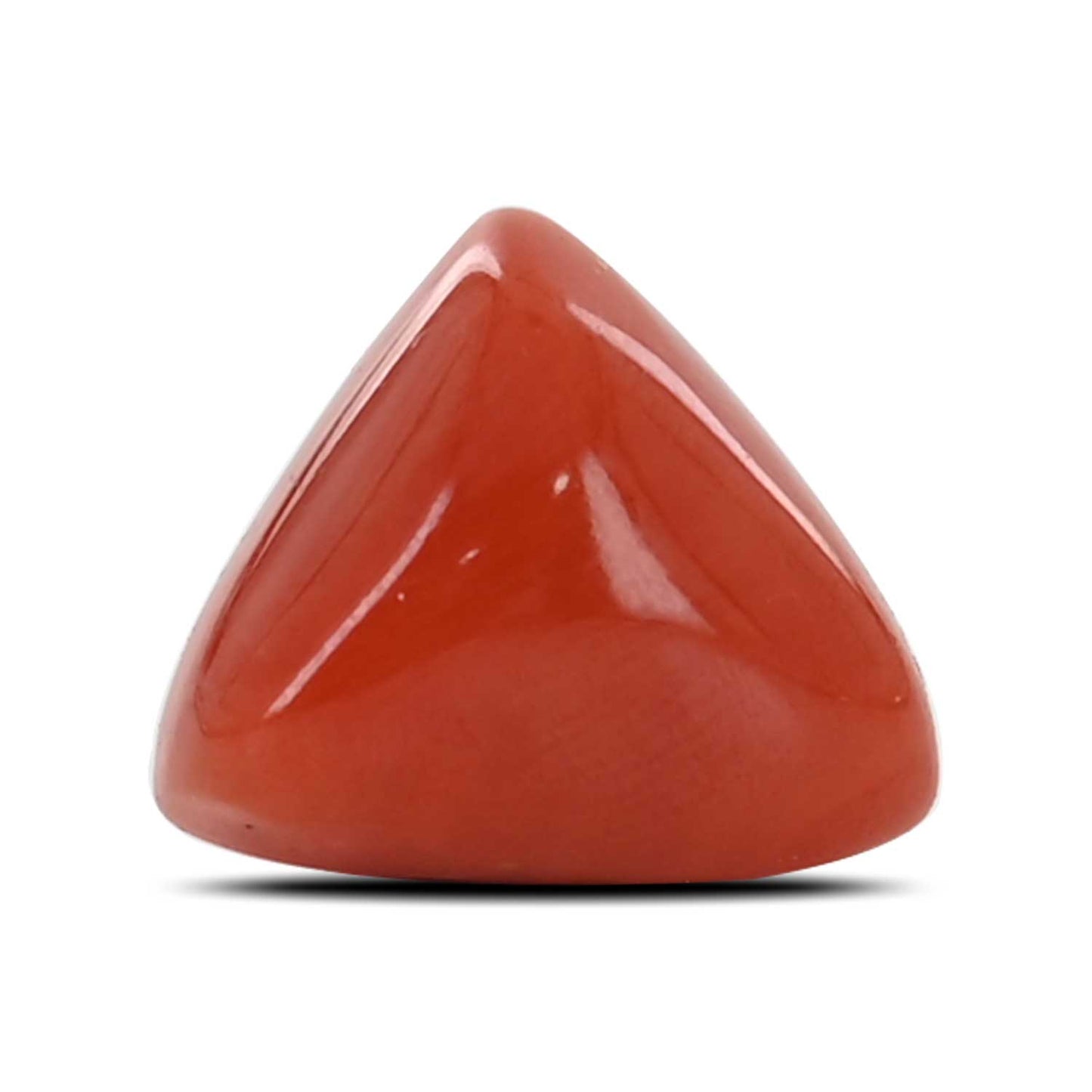 Red Coral (Moonga) - 8.41 Carat