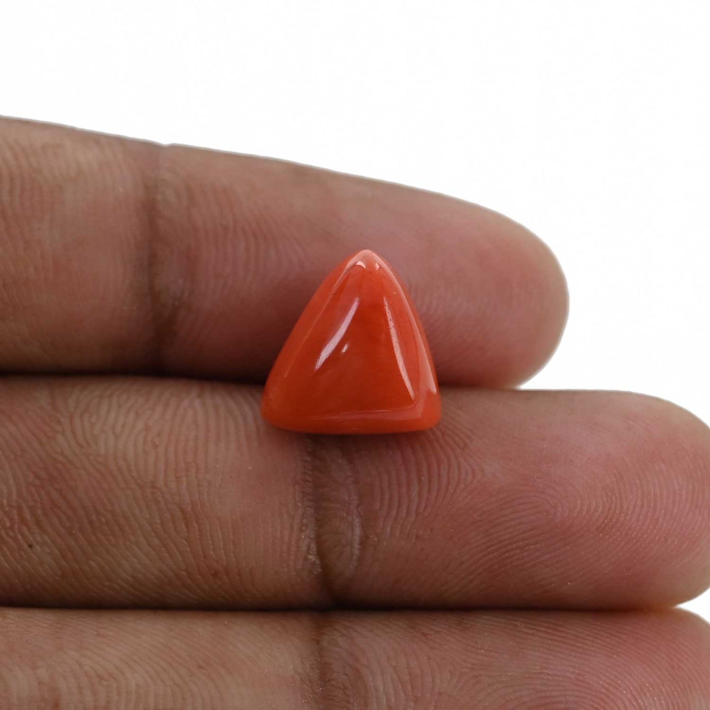 Red Coral (Moonga) - 8.41 Carat
