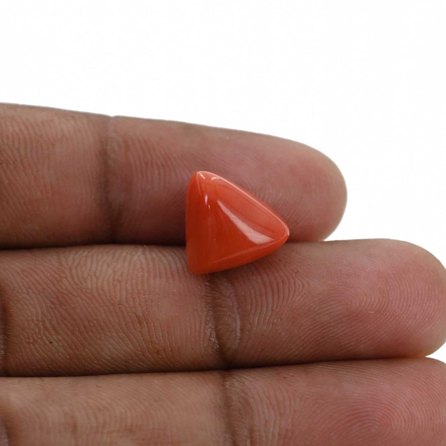 Red Coral (Moonga) - 8.41 Carat