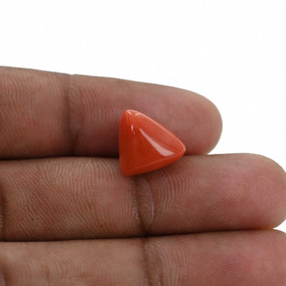 Red Coral (Moonga) - 8.41 Carat