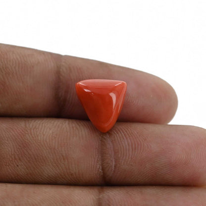 Red Coral (Moonga) - 8.41 Carat