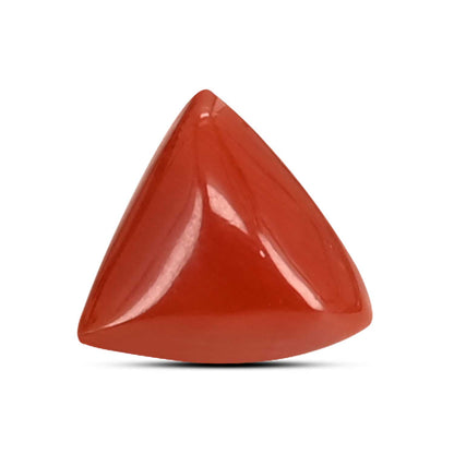 Red Coral (Moonga) Carat 3.57