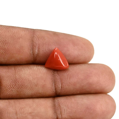 Red Coral (Moonga) Carat 3.57