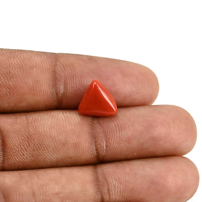 Red Coral (Moonga) Carat 3.57