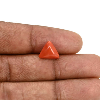 Red Coral (Moonga) Carat 3.56