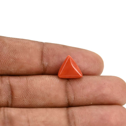 Red Coral (Moonga) Carat 3.56