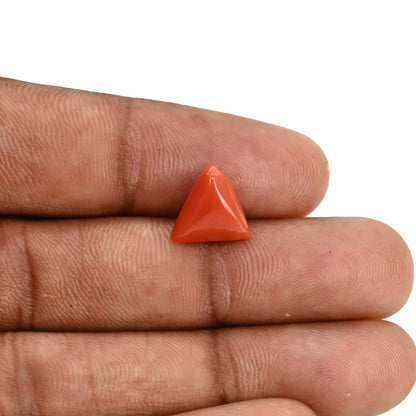 Red Coral (Moonga) Carat 4.21