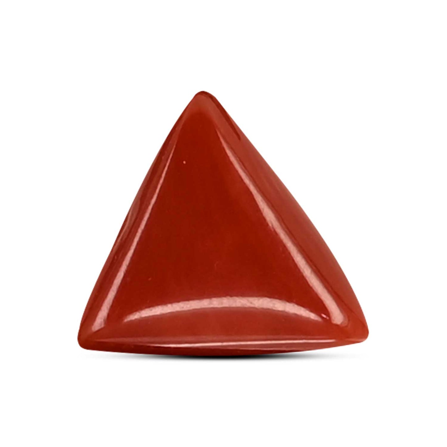 Red Coral (Moonga) Carat 4.14