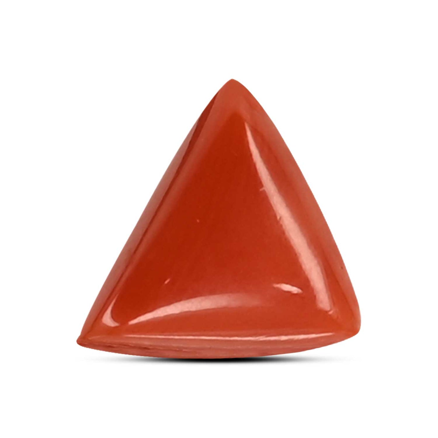 Red Coral (Moonga) Carat 3.59