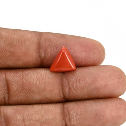 Red Coral (Moonga) Carat 3.59