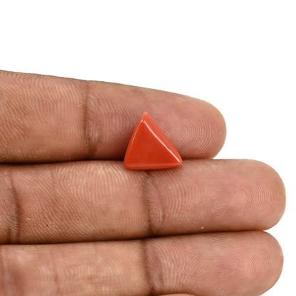 Red Coral (Moonga) Carat 3.59