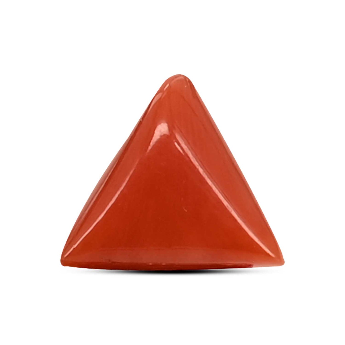 Red Coral (Moonga) Carat 3.63