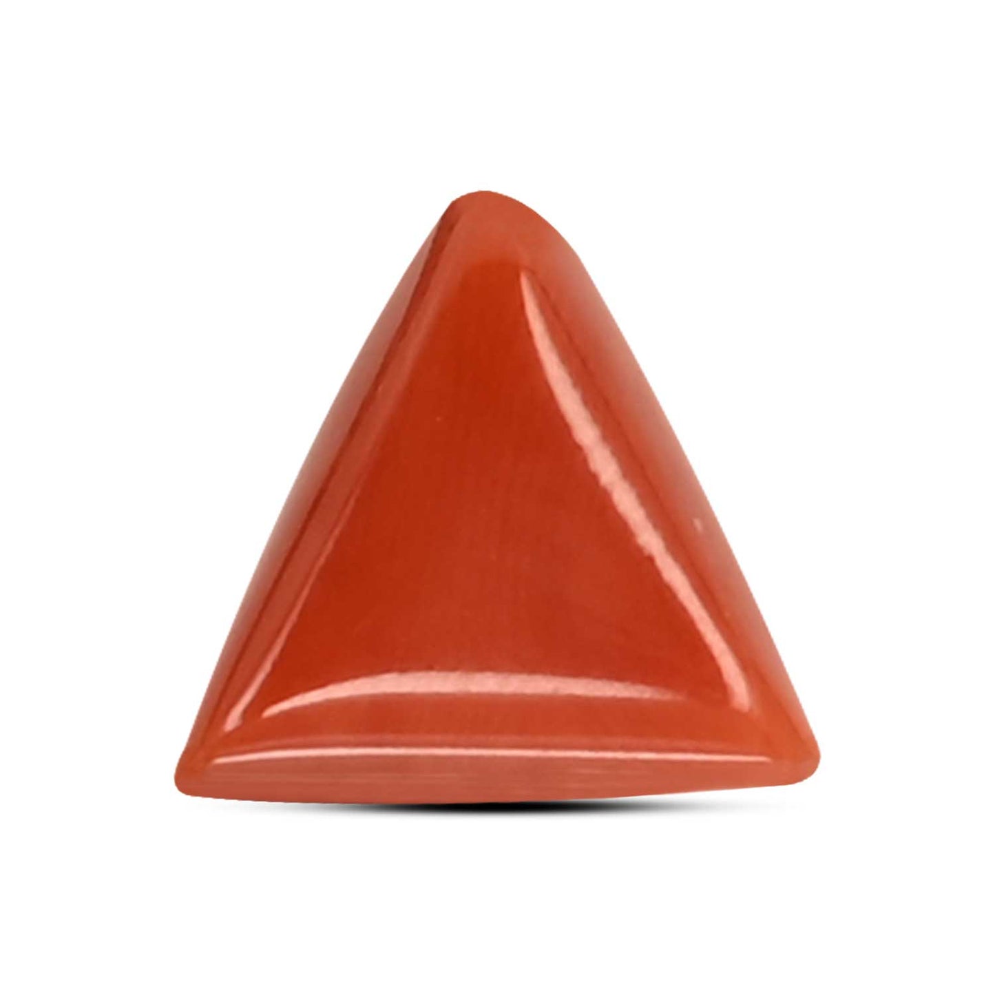 Red Coral (Moonga) Carat 3.91