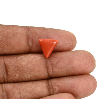 Red Coral (Moonga) Carat 3.91