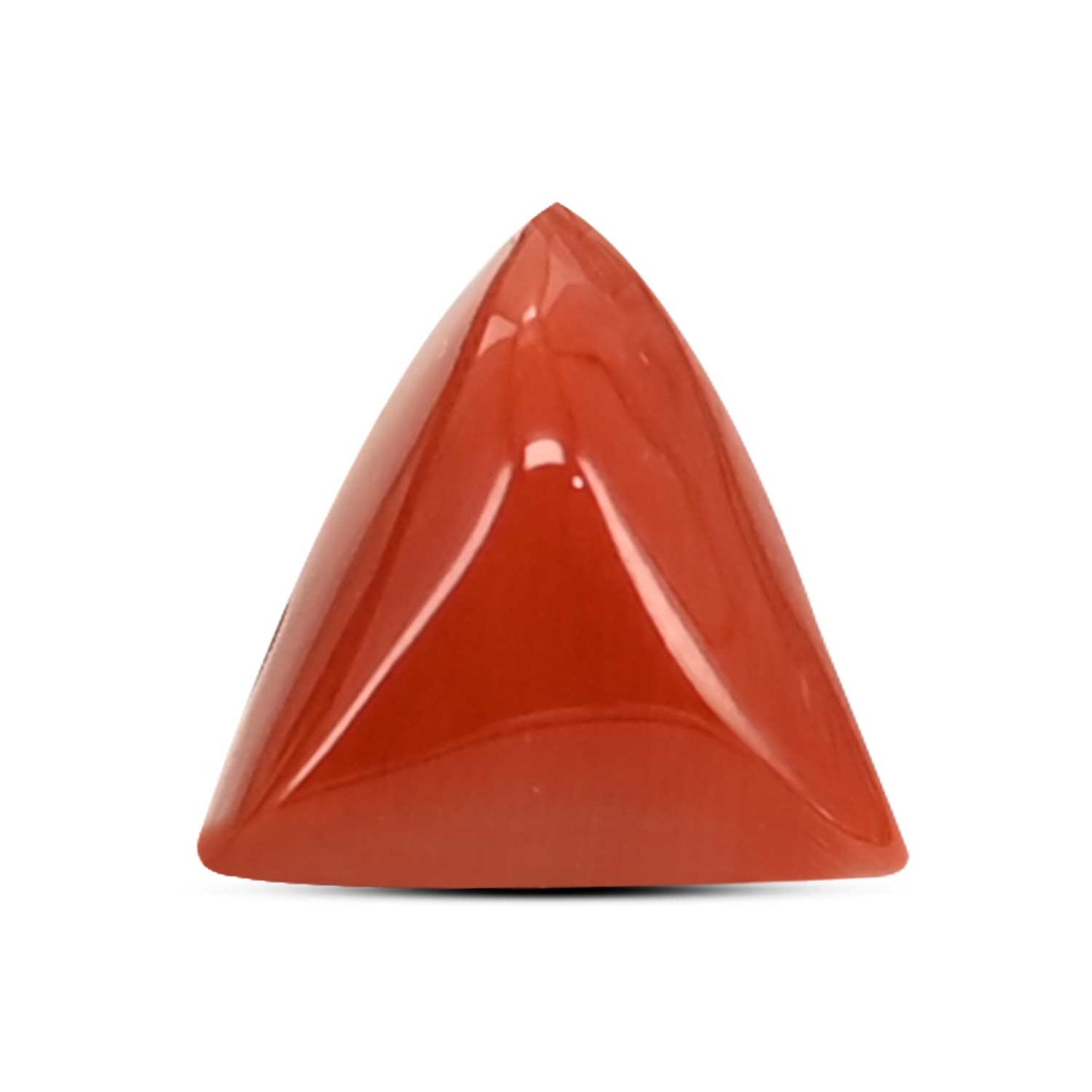 Red Coral (Moonga) Carat 4.36