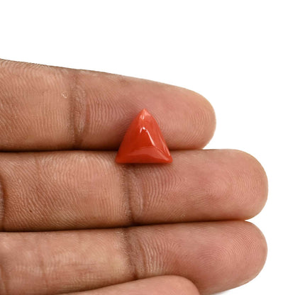 Red Coral (Moonga) Carat 4.36