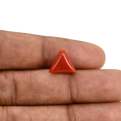 Red Coral (Moonga) Carat 4.1