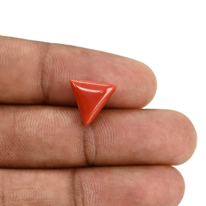 Red Coral (Moonga) Carat 3.96