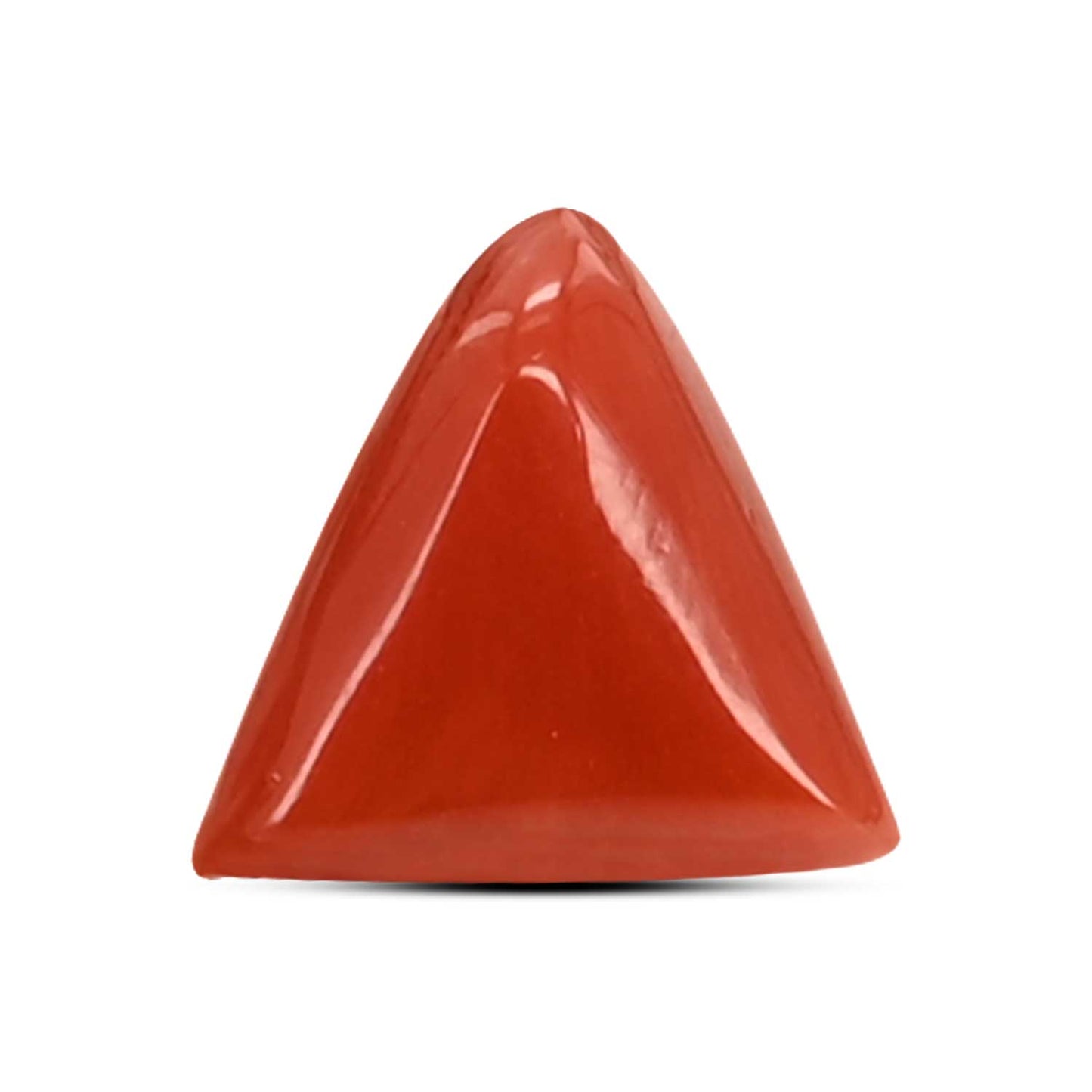 Red Coral (Moonga) Carat 3.59