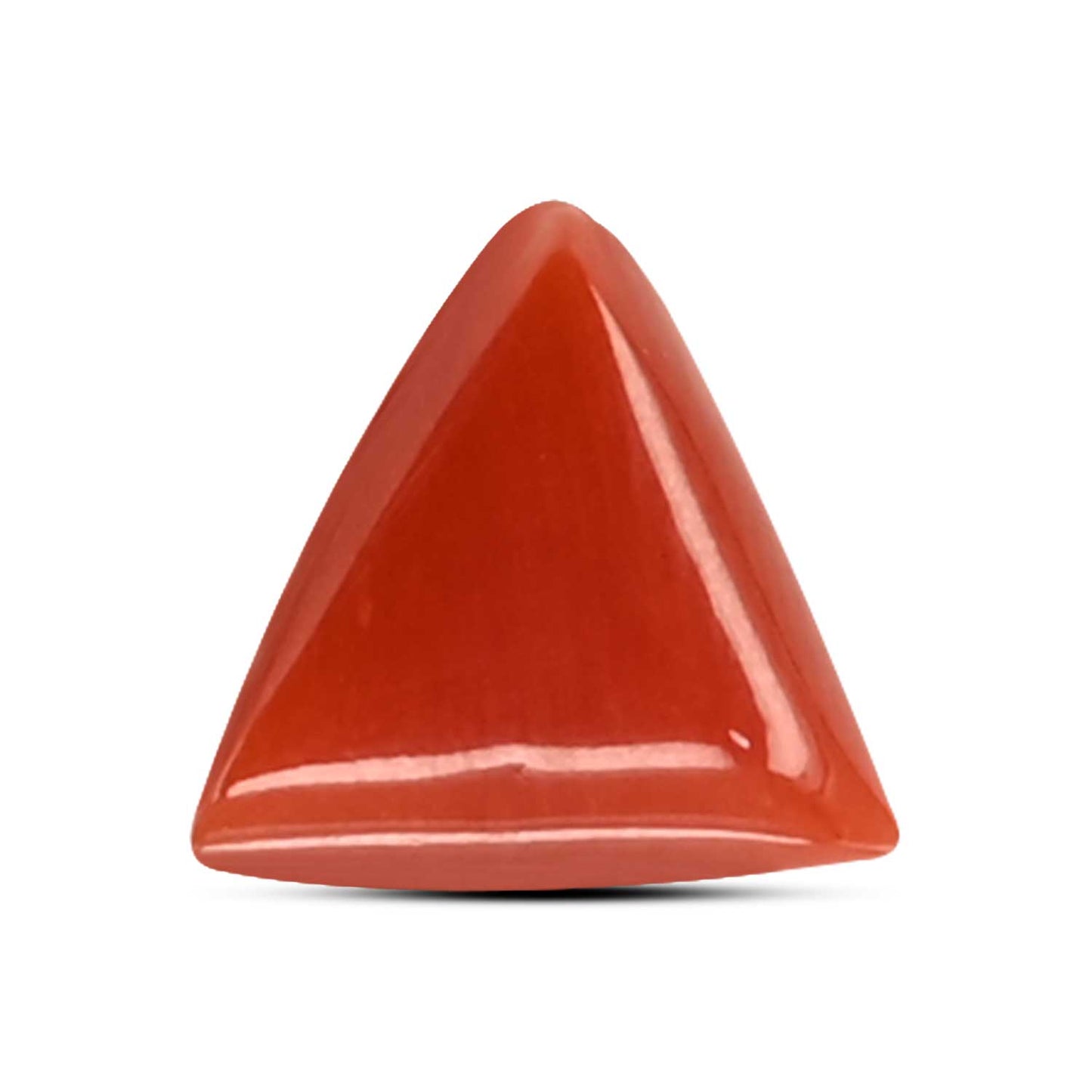 Red Coral (Moonga) Carat 3.59