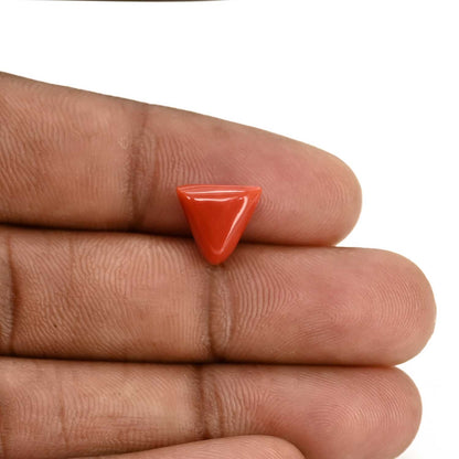 Red Coral (Moonga) Carat 3.59