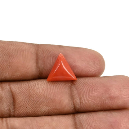 Red Coral (Moonga) Carat 4.12