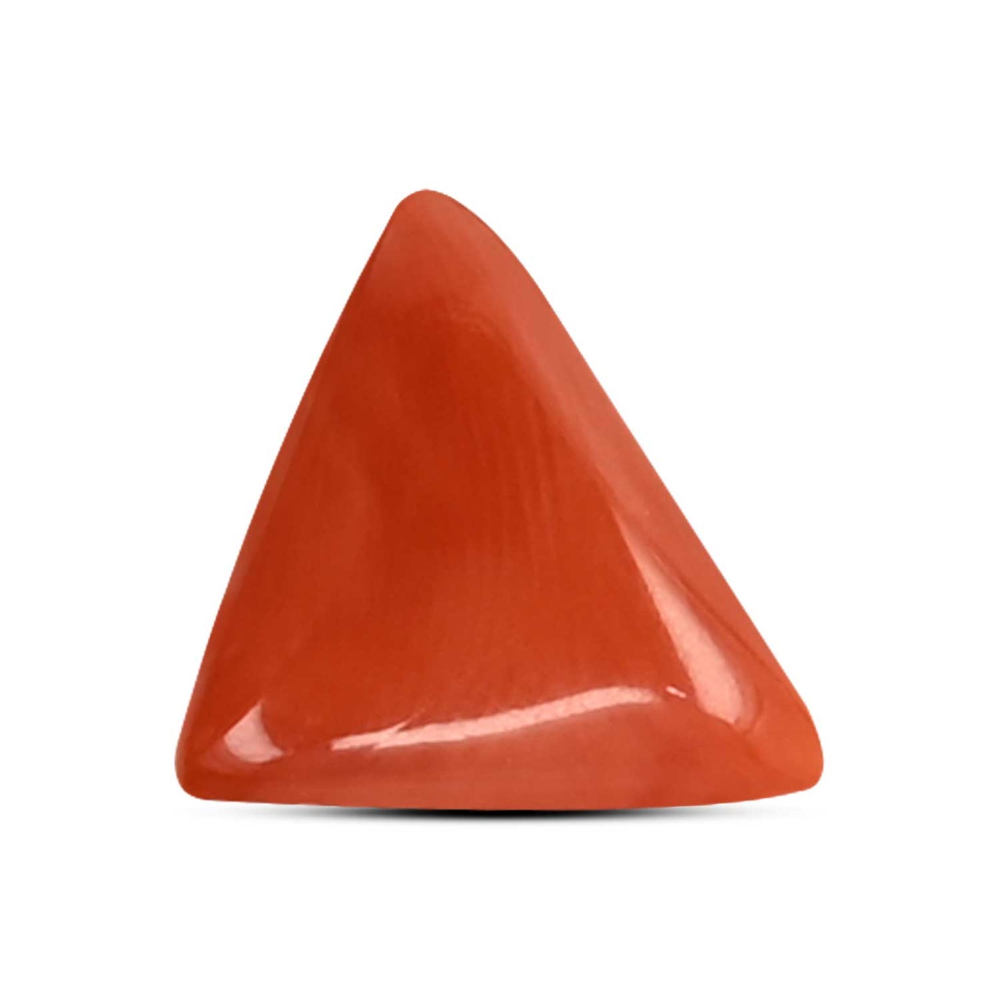 Red Coral (Moonga) Carat 3.58