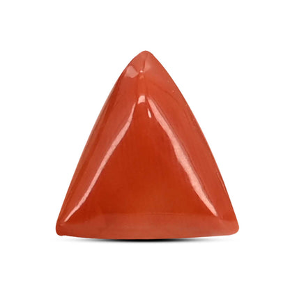 Red Coral (Moonga) Carat 3.81