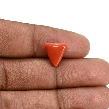 Red Coral (Moonga) Carat 3.81