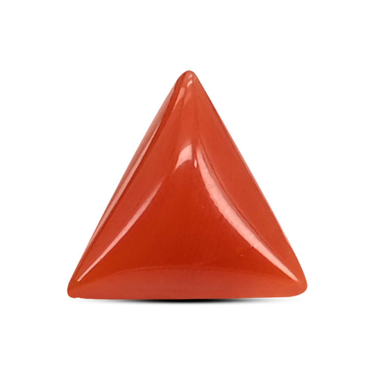 Red Coral (Moonga) Carat 3.67
