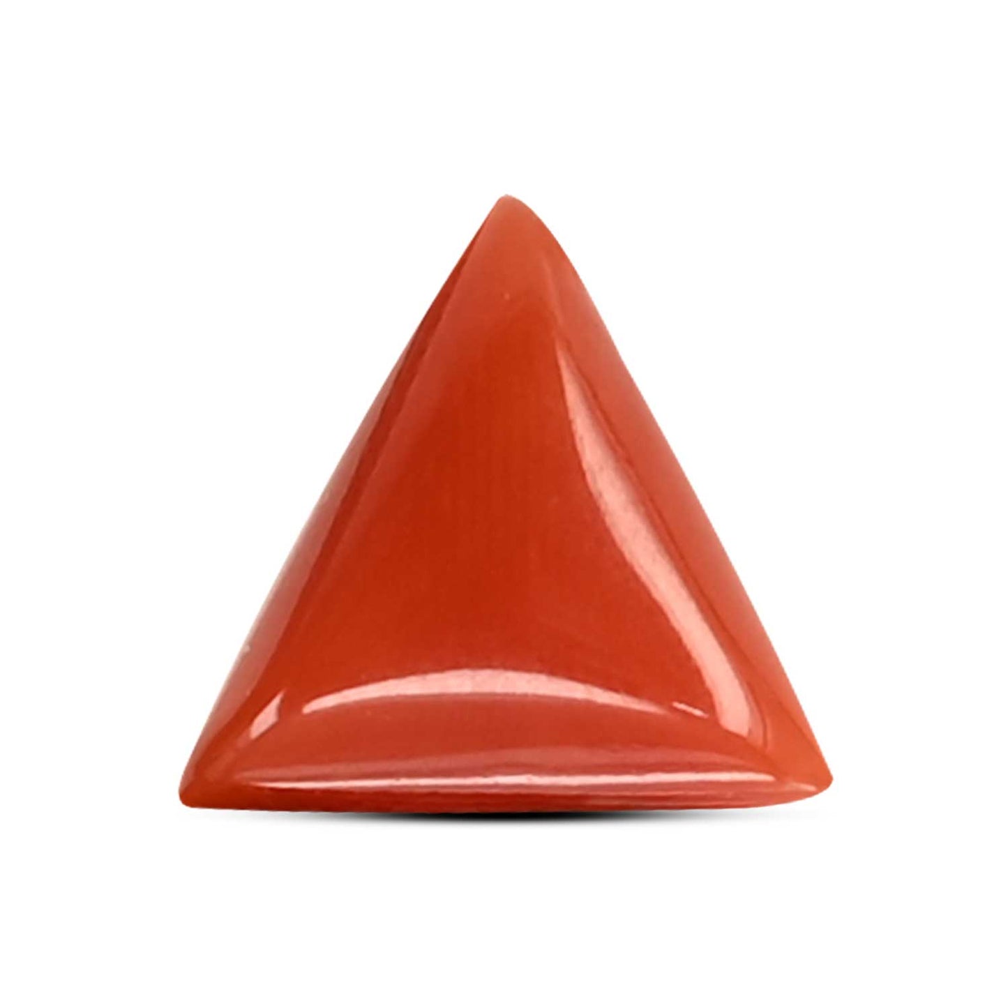 Red Coral (Moonga) Carat 3.67