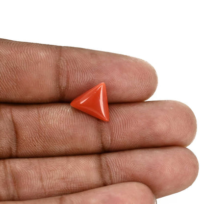 Red Coral (Moonga) Carat 3.67