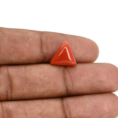Red Coral (Moonga) Carat 4.41